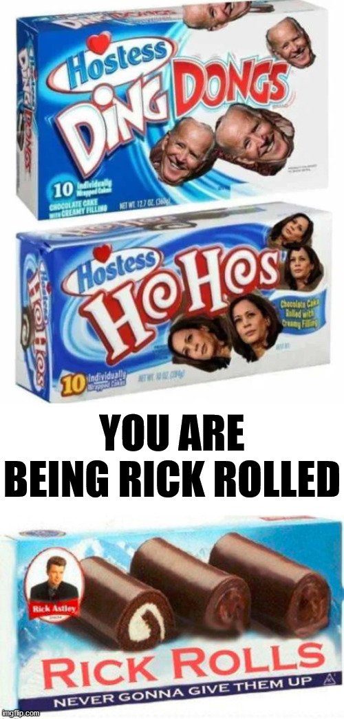 Tasty meme | YOU ARE BEING RICK ROLLED | image tagged in political meme,rick rolled | made w/ Imgflip meme maker