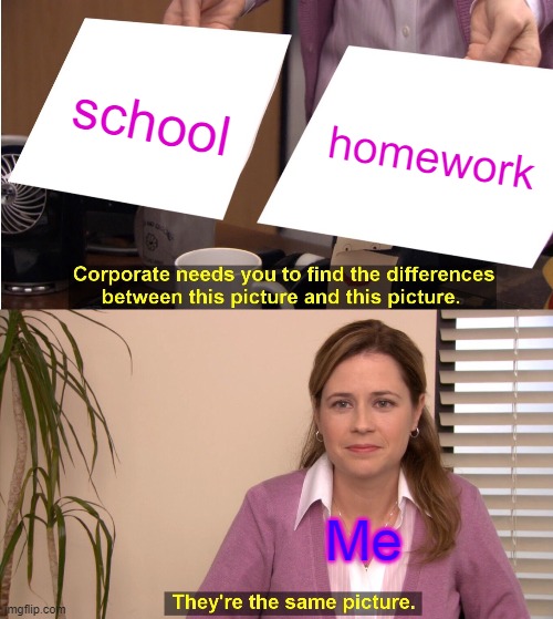 They're The Same Picture | school; homework; Me | image tagged in memes,they're the same picture | made w/ Imgflip meme maker