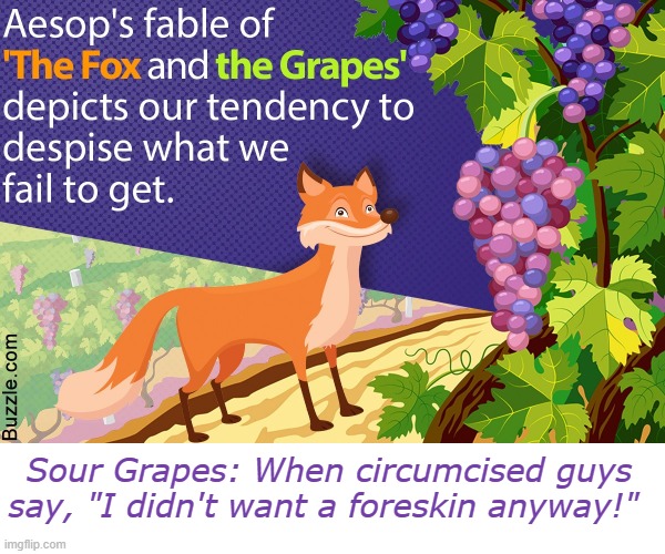 sour grapes | Sour Grapes: When circumcised guys say, "I didn't want a foreskin anyway!" | image tagged in circumcision,intactivism,save the children,cats,2020,meme | made w/ Imgflip meme maker