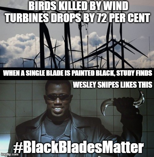 #BladeLikesThis | BIRDS KILLED BY WIND TURBINES DROPS BY 72 PER CENT; WHEN A SINGLE BLADE IS PAINTED BLACK, STUDY FINDS; WESLEY SNIPES LIKES THIS; #BlackBladesMatter | image tagged in punnery,bladelivesmatter | made w/ Imgflip meme maker