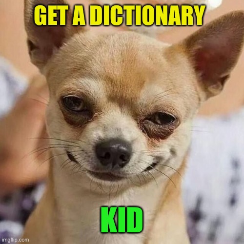 Smirking Dog | GET A DICTIONARY KID | image tagged in smirking dog | made w/ Imgflip meme maker