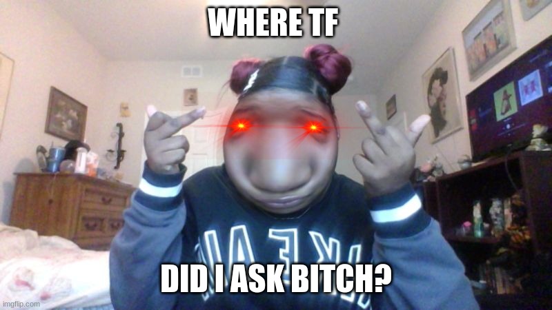 uh idk but here | WHERE TF; DID I ASK BITCH? | image tagged in dat dumb bitch | made w/ Imgflip meme maker