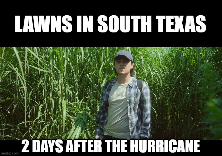 Lawns in south Texas, 2 days after the hurricane | LAWNS IN SOUTH TEXAS; 2 DAYS AFTER THE HURRICANE | image tagged in texas,lawn,hurricane | made w/ Imgflip meme maker