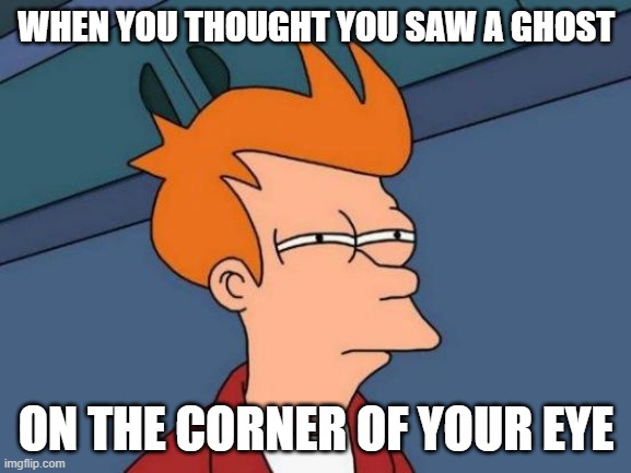 Futurama Fry | WHEN YOU THOUGHT YOU SAW A GHOST; ON THE CORNER OF YOUR EYE | image tagged in memes,futurama fry | made w/ Imgflip meme maker