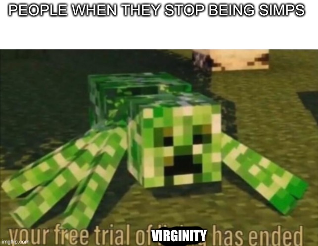 Your Free Trial of Living Has Ended | PEOPLE WHEN THEY STOP BEING SIMPS; VIRGINITY | image tagged in your free trial of living has ended | made w/ Imgflip meme maker