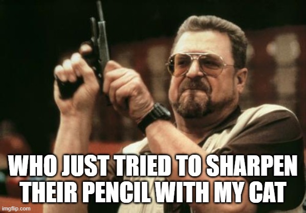 John Goodman | WHO JUST TRIED TO SHARPEN THEIR PENCIL WITH MY CAT | image tagged in john goodman | made w/ Imgflip meme maker