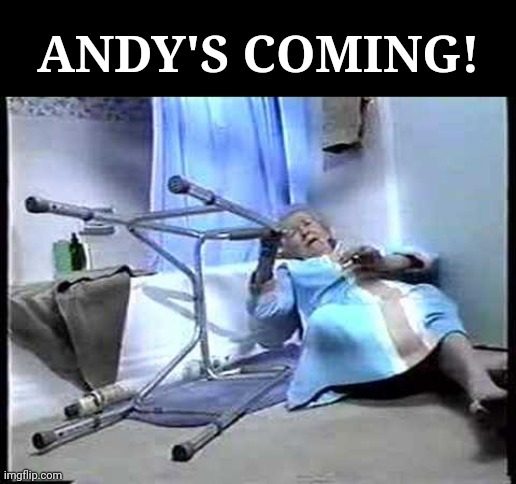 I've fallen and can't get up | ANDY'S COMING! | image tagged in i've fallen and can't get up | made w/ Imgflip meme maker
