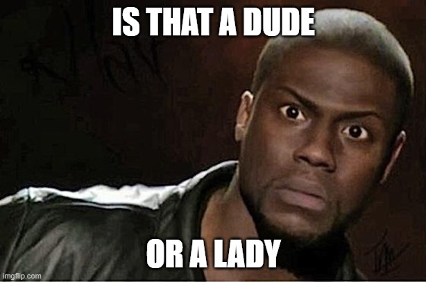 Kevin Hart Meme | IS THAT A DUDE OR A LADY | image tagged in memes,kevin hart | made w/ Imgflip meme maker