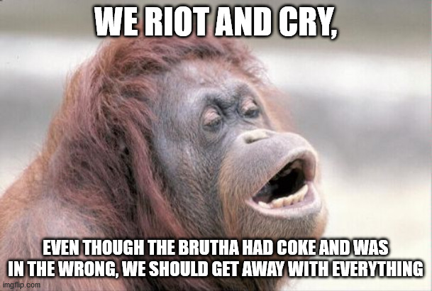 Monkey OOH Meme | WE RIOT AND CRY, EVEN THOUGH THE BRUTHA HAD COKE AND WAS IN THE WRONG, WE SHOULD GET AWAY WITH EVERYTHING | image tagged in memes,monkey ooh | made w/ Imgflip meme maker