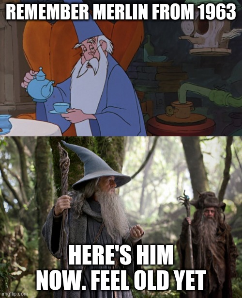 merlin | REMEMBER MERLIN FROM 1963; HERE'S HIM NOW. FEEL OLD YET | image tagged in merlin | made w/ Imgflip meme maker