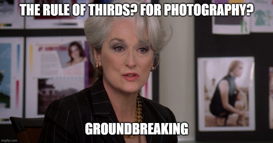 Florals in spring? Groundbreaking | THE RULE OF THIRDS? FOR PHOTOGRAPHY? GROUNDBREAKING | image tagged in florals in spring groundbreaking | made w/ Imgflip meme maker