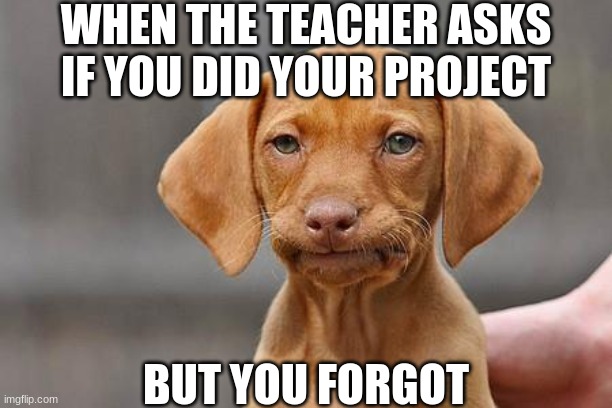 Forgot Project | WHEN THE TEACHER ASKS IF YOU DID YOUR PROJECT; BUT YOU FORGOT | image tagged in dissapointed puppy | made w/ Imgflip meme maker