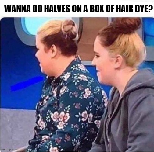 lets split it | WANNA GO HALVES ON A BOX OF HAIR DYE? | image tagged in hair dye,kewlew | made w/ Imgflip meme maker