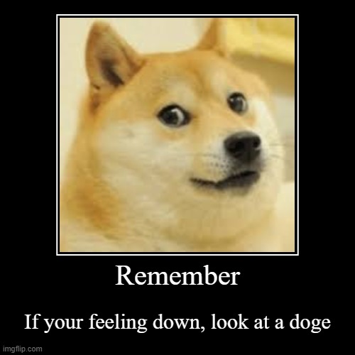 Look at a doge. | image tagged in funny,demotivationals | made w/ Imgflip demotivational maker