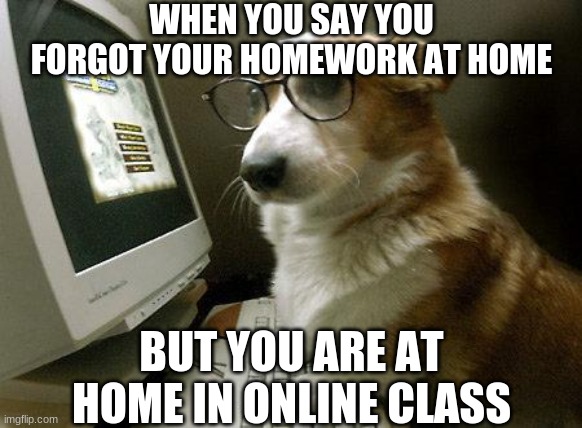 Forgot Homework | WHEN YOU SAY YOU FORGOT YOUR HOMEWORK AT HOME; BUT YOU ARE AT HOME IN ONLINE CLASS | image tagged in smart dog | made w/ Imgflip meme maker