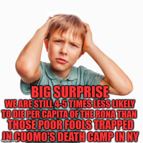 BIG SURPRISE WE ARE STILL 4-5 TIMES LESS LIKELY TO DIE PER CAPITA OF THE RONA THAN THOSE POOR FOOLS TRAPPED IN CUOMO'S DEATH CAMP IN NY | made w/ Imgflip meme maker