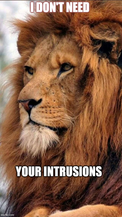 I DON'T NEED; YOUR INTRUSIONS | image tagged in freedom | made w/ Imgflip meme maker