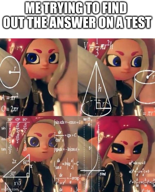 confused octoling | ME TRYING TO FIND  OUT THE ANSWER ON A TEST | image tagged in memes | made w/ Imgflip meme maker