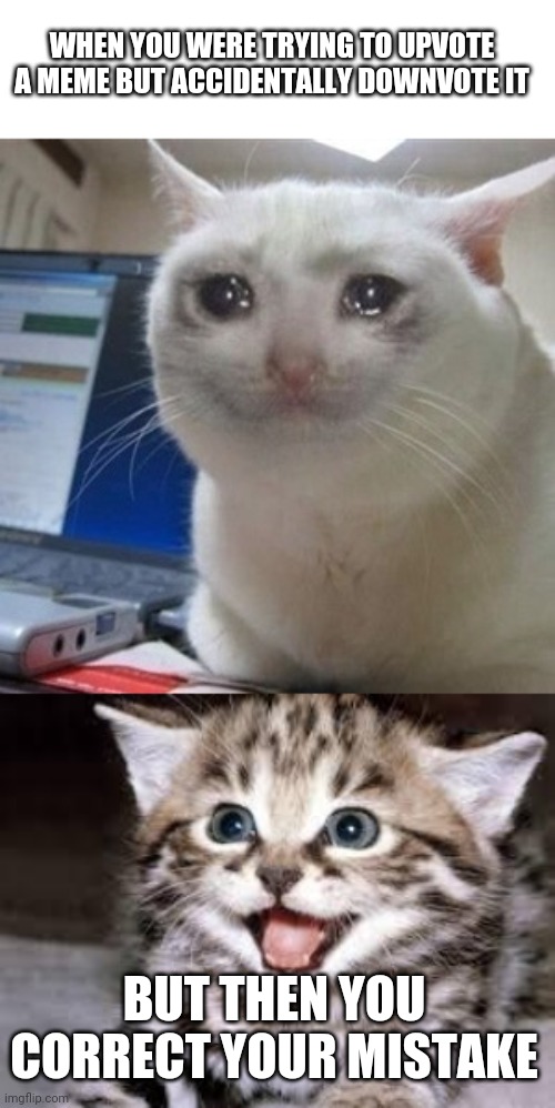 WHEN YOU WERE TRYING TO UPVOTE A MEME BUT ACCIDENTALLY DOWNVOTE IT; BUT THEN YOU CORRECT YOUR MISTAKE | image tagged in happy cat,crying cat,cats,imgflip | made w/ Imgflip meme maker