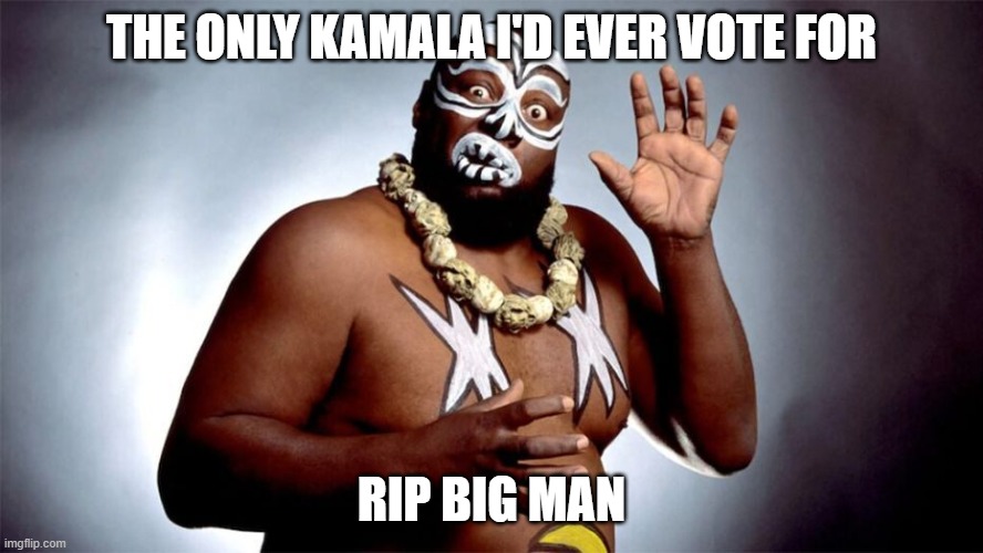 Kamala | THE ONLY KAMALA I'D EVER VOTE FOR; RIP BIG MAN | image tagged in funny memes | made w/ Imgflip meme maker