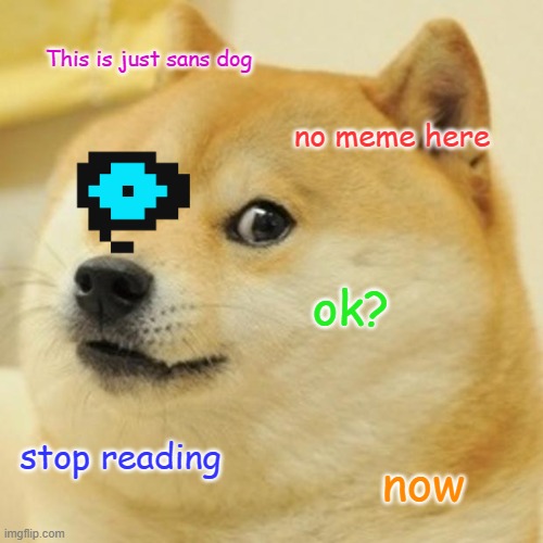 Doge | This is just sans dog; no meme here; ok? stop reading; now | image tagged in memes,doge | made w/ Imgflip meme maker