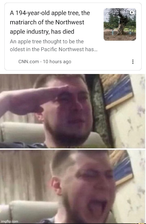 crying salute