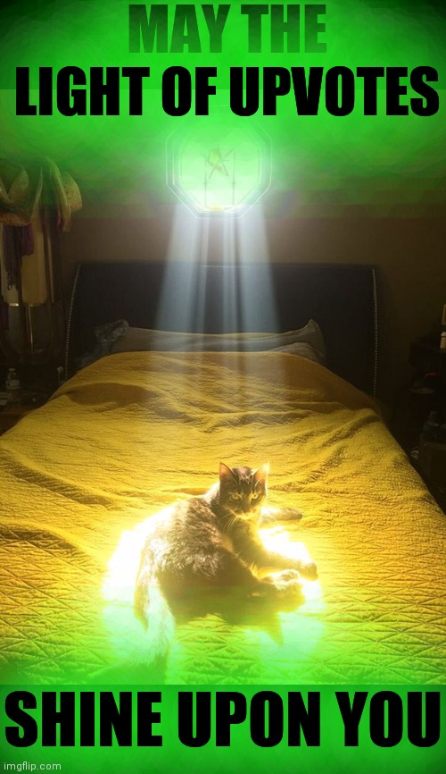 MAY THE LIGHT OF UPVOTES SHINE UPON YOU | MAY THE LIGHT OF UPVOTES; SHINE UPON YOU | image tagged in chosen one cat | made w/ Imgflip meme maker