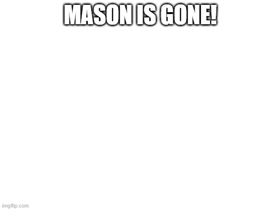 Blank White Template | MASON IS GONE! | image tagged in blank white template | made w/ Imgflip meme maker