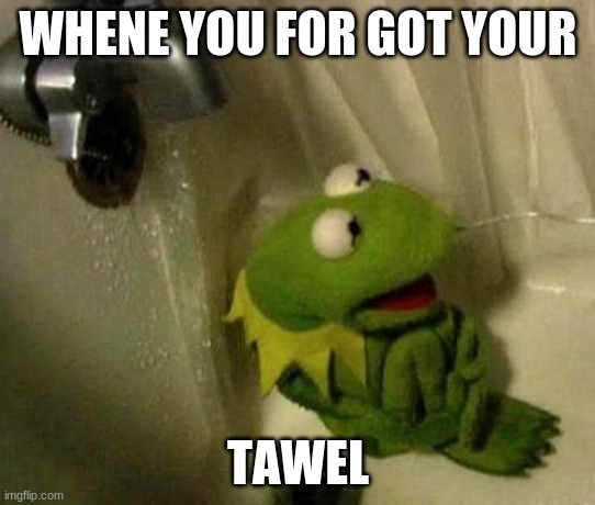 Kermit on Shower | WHENE YOU FOR GOT YOUR; TAWEL | image tagged in kermit on shower | made w/ Imgflip meme maker