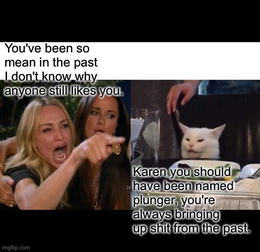 Woman yelling at cat | You've been so mean in the past I don't know why anyone still likes you. Karen you should have been named plunger, you're always bringing up shit from the past. | image tagged in memes,woman yelling at cat | made w/ Imgflip meme maker