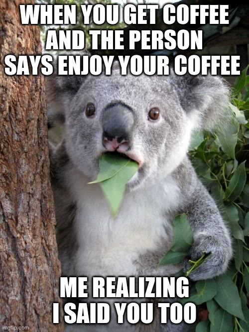 Surprised Koala | WHEN YOU GET COFFEE AND THE PERSON SAYS ENJOY YOUR COFFEE; ME REALIZING I SAID YOU TOO | image tagged in memes,surprised koala | made w/ Imgflip meme maker