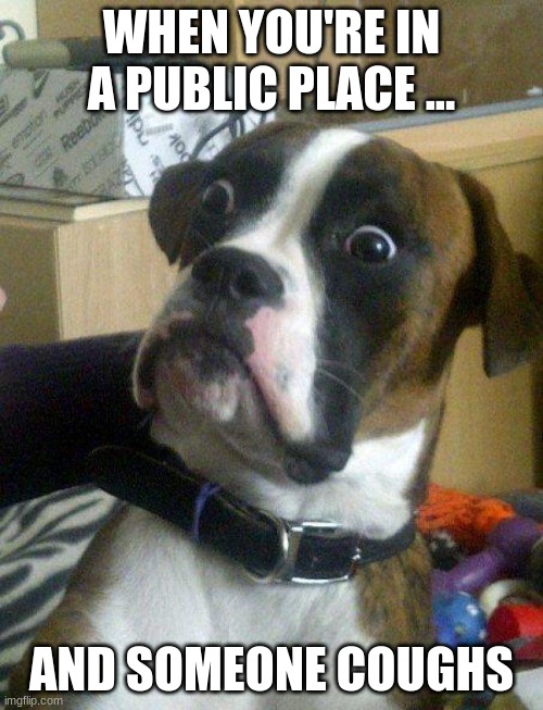 Blankie the Shocked Dog | WHEN YOU'RE IN A PUBLIC PLACE ... AND SOMEONE COUGHS | image tagged in blankie the shocked dog | made w/ Imgflip meme maker