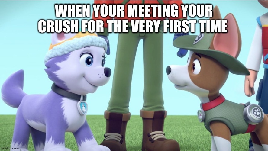 Everest And Tracker Meeting each other | WHEN YOUR MEETING YOUR CRUSH FOR THE VERY FIRST TIME | image tagged in everest and tracker meeting each other | made w/ Imgflip meme maker