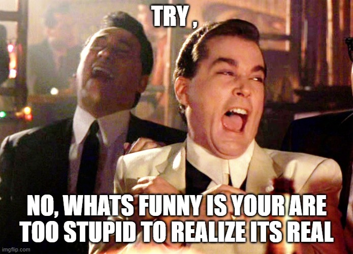 Good Fellas Hilarious Meme | TRY , NO, WHATS FUNNY IS YOUR ARE TOO STUPID TO REALIZE ITS REAL | image tagged in memes,good fellas hilarious | made w/ Imgflip meme maker