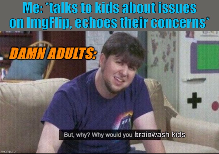 I don’t know why anyone would do this | Me: *talks to kids about issues on ImgFlip, echoes their concerns*; DAMN ADULTS:; brainwash kids | image tagged in but why why would you do that,damn,adults,meanwhile on imgflip,imgflip community,kids | made w/ Imgflip meme maker