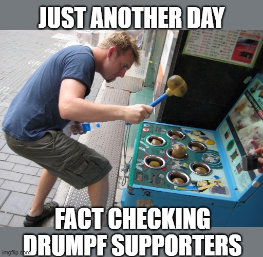 Whack a troll | JUST ANOTHER DAY; FACT CHECKING DRUMPF SUPPORTERS | image tagged in whack a mole,memes,maga,politics,liars,impeach trump | made w/ Imgflip meme maker