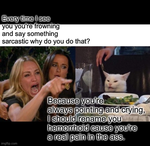 Woman yelling at cat | Every time I see you you're frowning and say something sarcastic why do you do that? Because you're always pointing and crying, I should rename you hemorrhoid cause you're a real pain in the ass. | image tagged in memes,woman yelling at cat | made w/ Imgflip meme maker