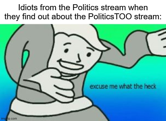 You'regayifyouseethis | Idiots from the Politics stream when they find out about the PoliticsTOO stream: | image tagged in excuse me what the heck,excuse me wtf | made w/ Imgflip meme maker