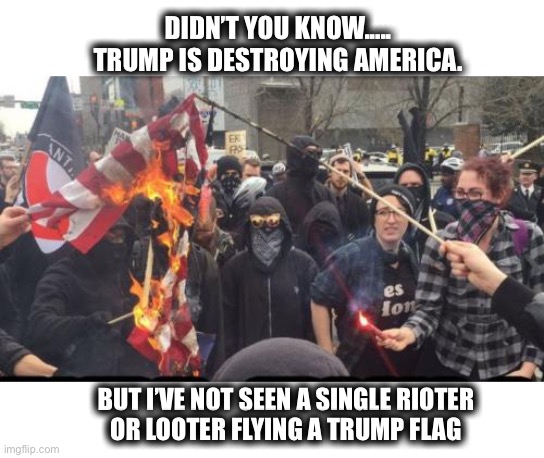 I didn’t see them | DIDN’T YOU KNOW.....
TRUMP IS DESTROYING AMERICA. BUT I’VE NOT SEEN A SINGLE RIOTER
OR LOOTER FLYING A TRUMP FLAG | image tagged in antifa democrat leftist terrorist,liberals,protesters,rioters,trump | made w/ Imgflip meme maker