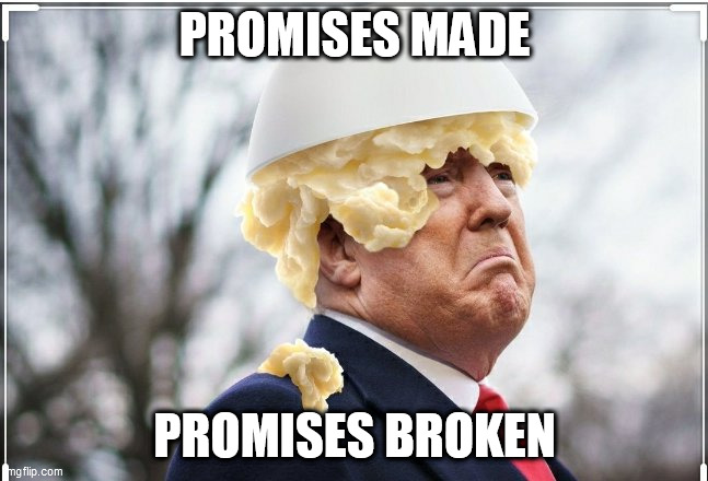 Trump potatoe head | PROMISES MADE; PROMISES BROKEN | image tagged in political memes | made w/ Imgflip meme maker