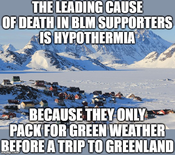 A fool is the man who trusts name over content | THE LEADING CAUSE OF DEATH IN BLM SUPPORTERS
IS HYPOTHERMIA; BECAUSE THEY ONLY PACK FOR GREEN WEATHER BEFORE A TRIP TO GREENLAND | image tagged in fun fact greenland,blm,democrats | made w/ Imgflip meme maker