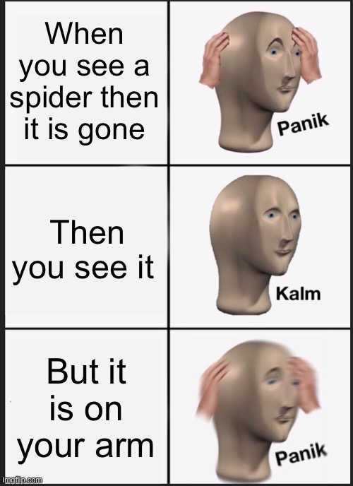 Panik Kalm Panik Meme | When you see a spider then it is gone; Then you see it; But it is on your arm | image tagged in memes,panik kalm panik | made w/ Imgflip meme maker