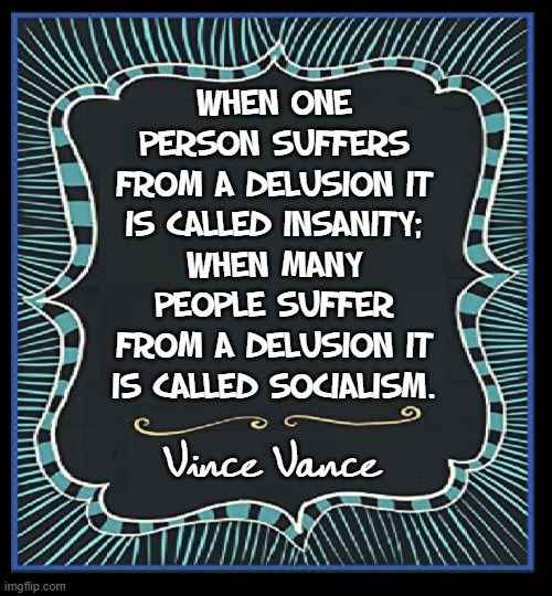 Welcome to the Democrats' 2020 Platform | WHEN ONE PERSON SUFFERS FROM A DELUSION IT IS CALLED INSANITY;
WHEN MANY PEOPLE SUFFER FROM A DELUSION IT IS CALLED SOCIALISM. Vince Vance | image tagged in vince vance,socialism,democrats,progressives,memes,social justice warriors | made w/ Imgflip meme maker