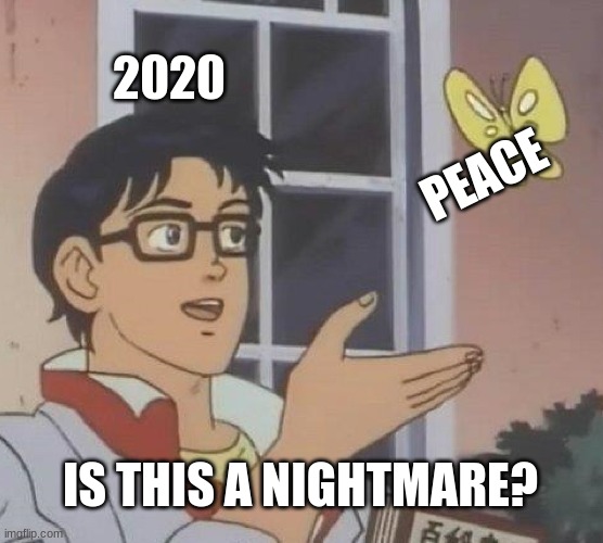 Is This A Pigeon | 2020; PEACE; IS THIS A NIGHTMARE? | image tagged in memes,is this a pigeon | made w/ Imgflip meme maker