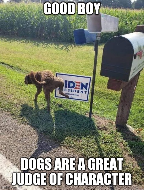 Good Boy | GOOD BOY; DOGS ARE A GREAT JUDGE OF CHARACTER | image tagged in political | made w/ Imgflip meme maker
