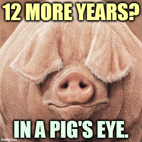 Even if Trump were competent, which he's not, if he were not a criminal, which he is, it's never gonna happen. | 12 MORE YEARS? IN A PIG'S EYE. | image tagged in trump,election 2020,delusional,dictator | made w/ Imgflip meme maker