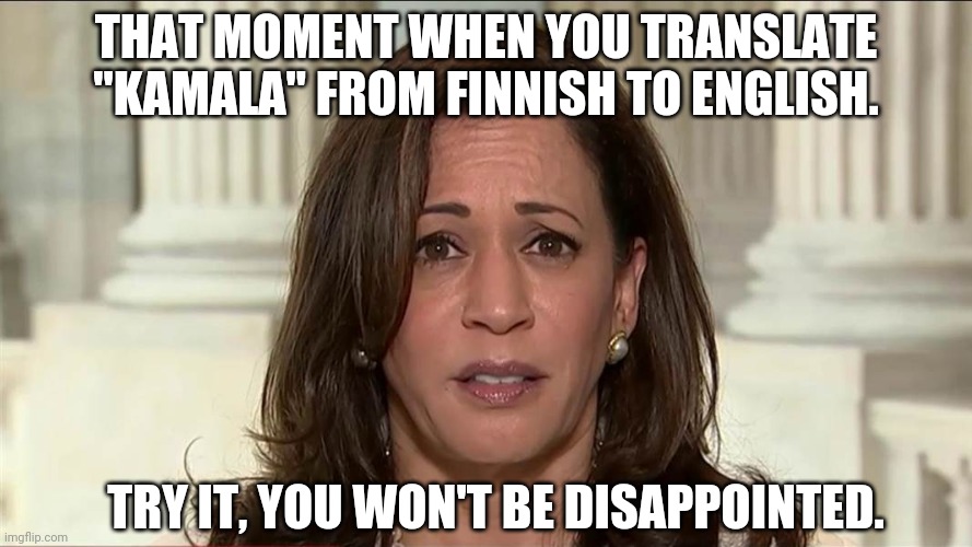 Horrible Harris. | THAT MOMENT WHEN YOU TRANSLATE "KAMALA" FROM FINNISH TO ENGLISH. TRY IT, YOU WON'T BE DISAPPOINTED. | image tagged in kamala harris | made w/ Imgflip meme maker