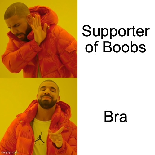 Drake Hotline Bling Meme | Supporter of Boobs Bra | image tagged in memes,drake hotline bling | made w/ Imgflip meme maker