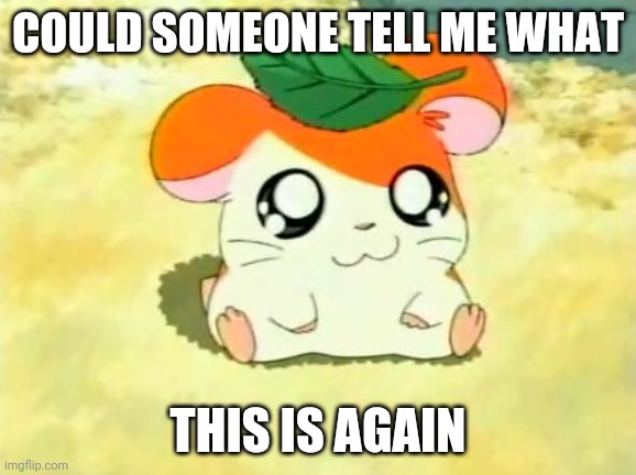 Hamtaro Meme | COULD SOMEONE TELL ME WHAT THIS IS AGAIN | image tagged in memes,hamtaro | made w/ Imgflip meme maker