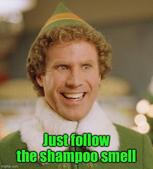 Buddy The Elf Meme | Just follow the shampoo smell | image tagged in memes,buddy the elf | made w/ Imgflip meme maker